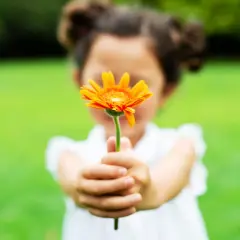 Ein Kind reicht eine orange Blume. Das Gegenteil von Habgier ist Großzügigkeit.