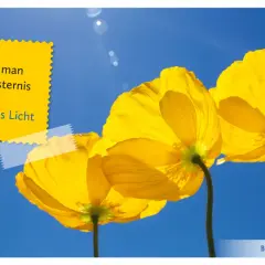 Drei leuchtend gelbe Mohnblumen vor blauem Himmel. Ein gelber Aufkleber zitiert Phil Bosmans: "Finsternis kann man nicht durch Finsternis vertreiben. Das kann nur das Licht.
