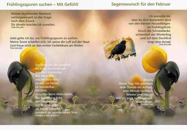 Ein Vogel singt, ein Winterling blüht – Gottes Segen für den Neubeginn im Frühling.