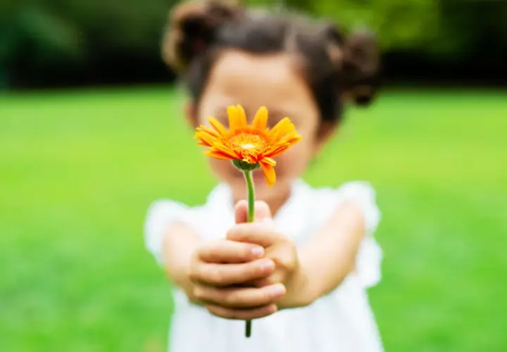 Ein Kind reicht eine orange Blume. Das Gegenteil von Habgier ist Großzügigkeit.