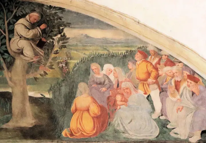 Der heilige Antonius predigt von einem Baum herab einer Gruppe von Menschen.