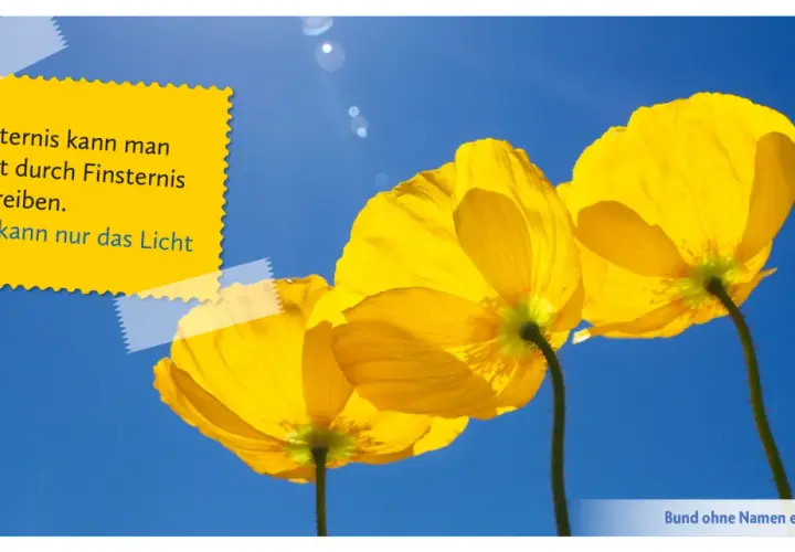 Drei leuchtend gelbe Mohnblumen vor blauem Himmel. Ein gelber Aufkleber zitiert Phil Bosmans: "Finsternis kann man nicht durch Finsternis vertreiben. Das kann nur das Licht.