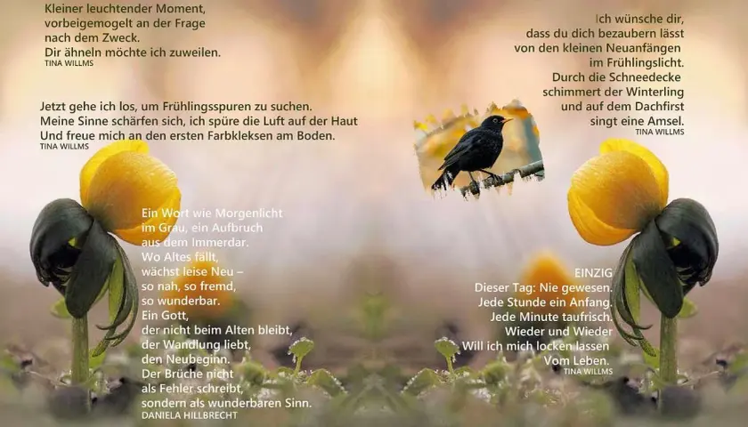 Ein Vogel singt, ein Winterling blüht – Gottes Segen für den Neubeginn im Frühling.