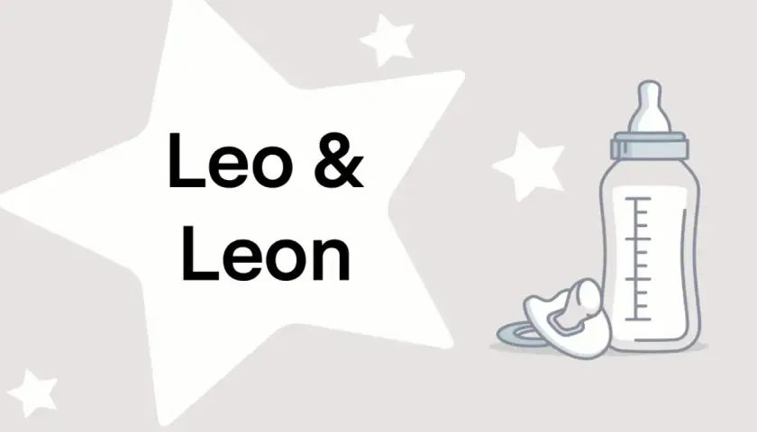 Ein Stern mit den Namen Leo & Leon, daneben eine Babyflasche und ein Schnuller. Was bedeutet Leo? Ein starker Name für einen kleinen Löwen.