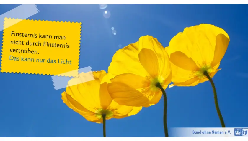 Drei leuchtend gelbe Mohnblumen vor blauem Himmel. Ein gelber Aufkleber zitiert Phil Bosmans: "Finsternis kann man nicht durch Finsternis vertreiben. Das kann nur das Licht.
