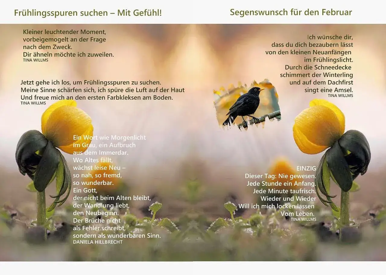 Ein Vogel singt, ein Winterling blüht – Gottes Segen für den Neubeginn im Frühling.