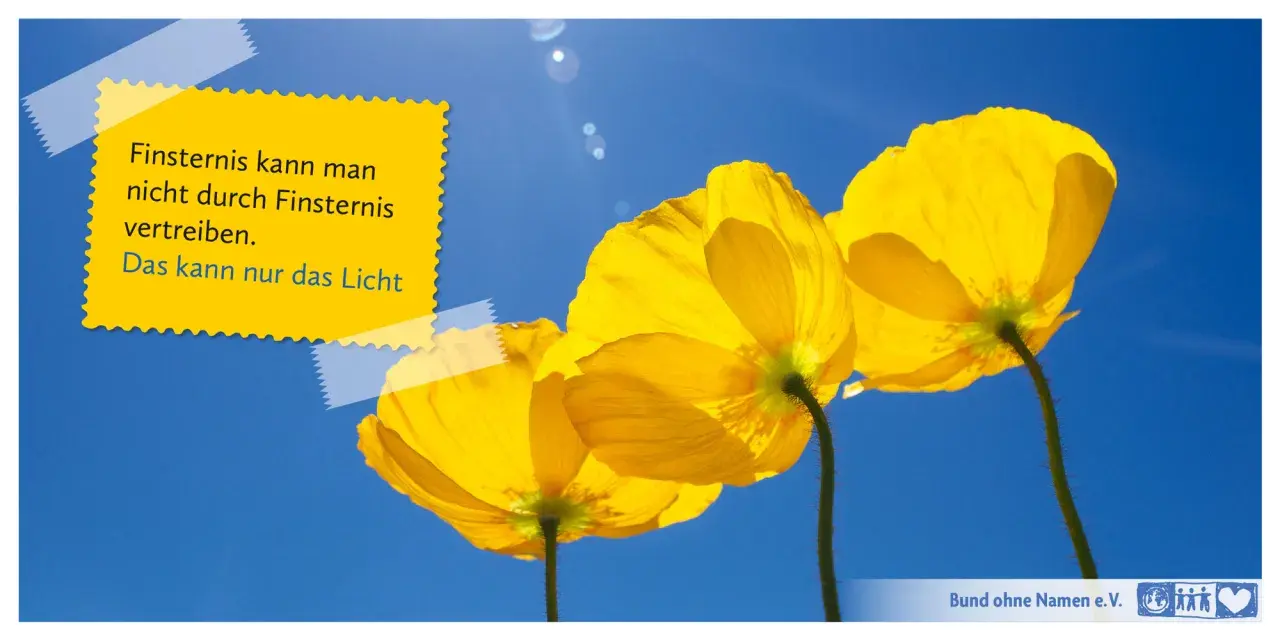 Drei leuchtend gelbe Mohnblumen vor blauem Himmel. Ein gelber Aufkleber zitiert Phil Bosmans: "Finsternis kann man nicht durch Finsternis vertreiben. Das kann nur das Licht.