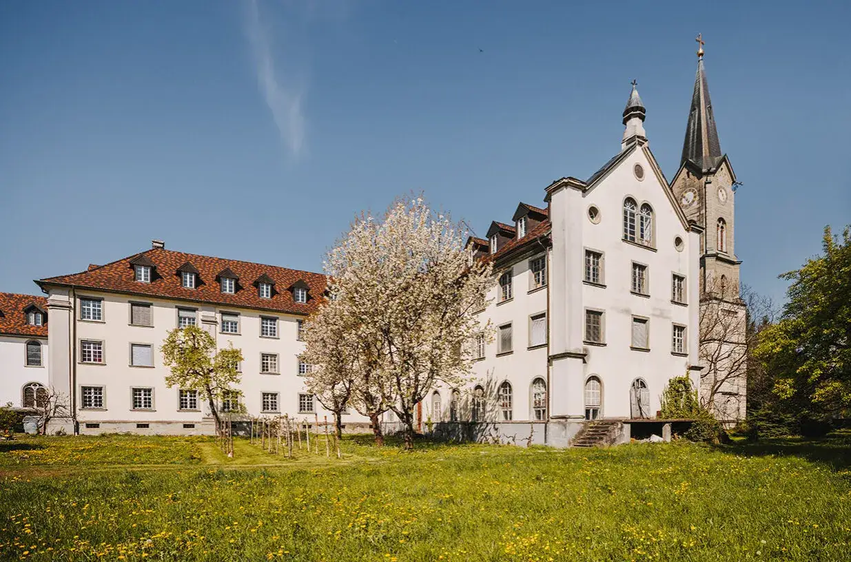 Das Kloster Mehrerau erstrahlt im Frühlingslicht. Ein blühender Baum steht vor den weißen Gebäuden und dem Kirchturm.