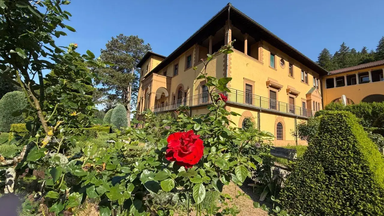 Ein roter Rosenbusch bl&uuml;ht vor einem gelben Geb&auml;ude, das wie ein Kloster wirkt. Ein sch&ouml;ner Ort, um ins Kloster zu gehen.