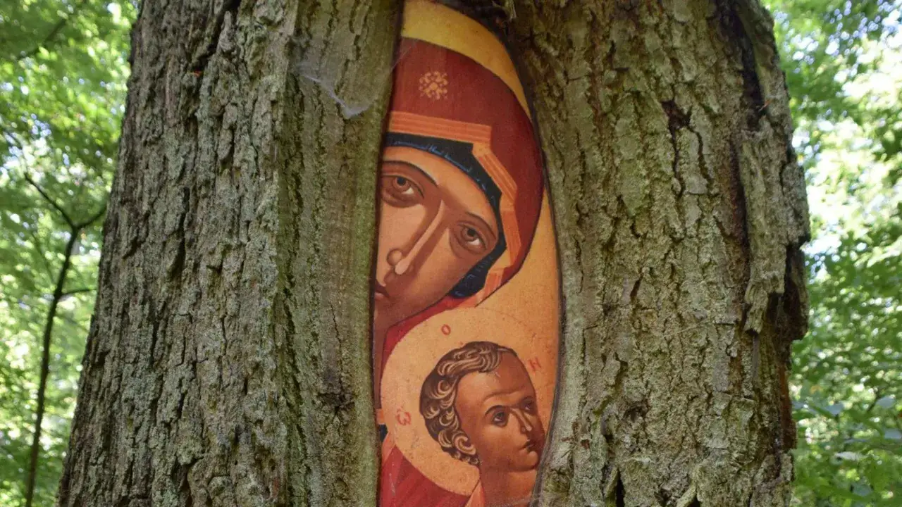 Ikone der Madonna mit Kind, die in einen Baumstamm integriert ist. Ein Symbol der Hoffnung, wie es Katharina von Siena lehrte.